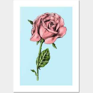 Rose Print Posters and Art